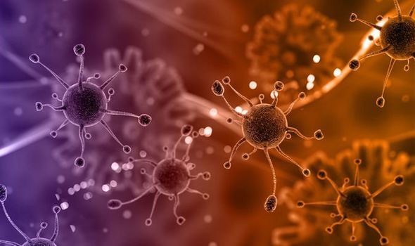 A New Virus Discovered in Brazil! It's Origin is Unknown and much Information isn't revealed. Is it Another Fatal Discovery? 3