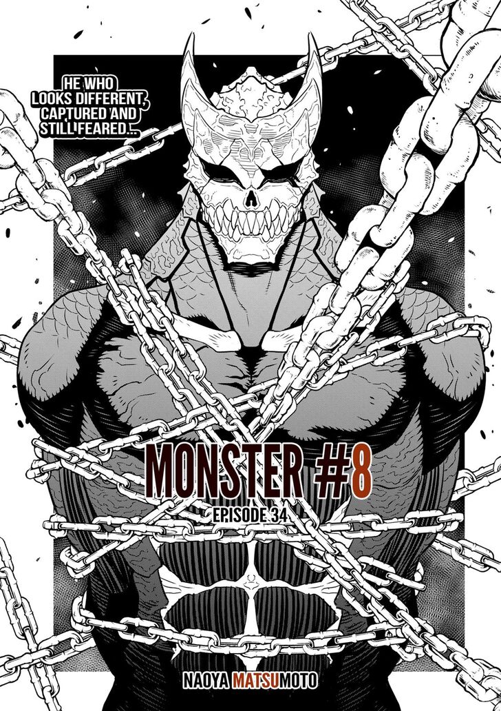 Kaiju no.8