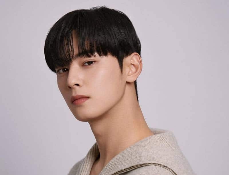 Cha Eun-woo