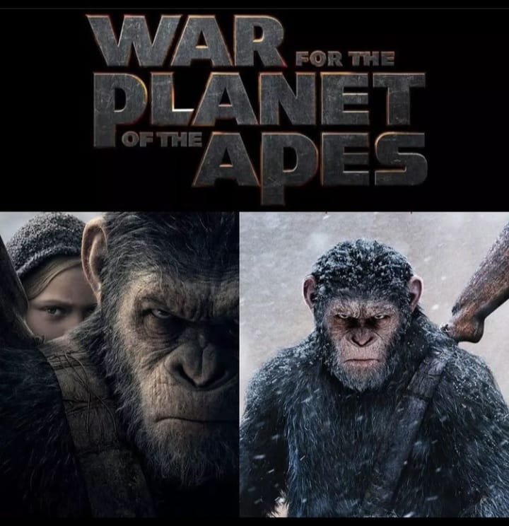 apes movies