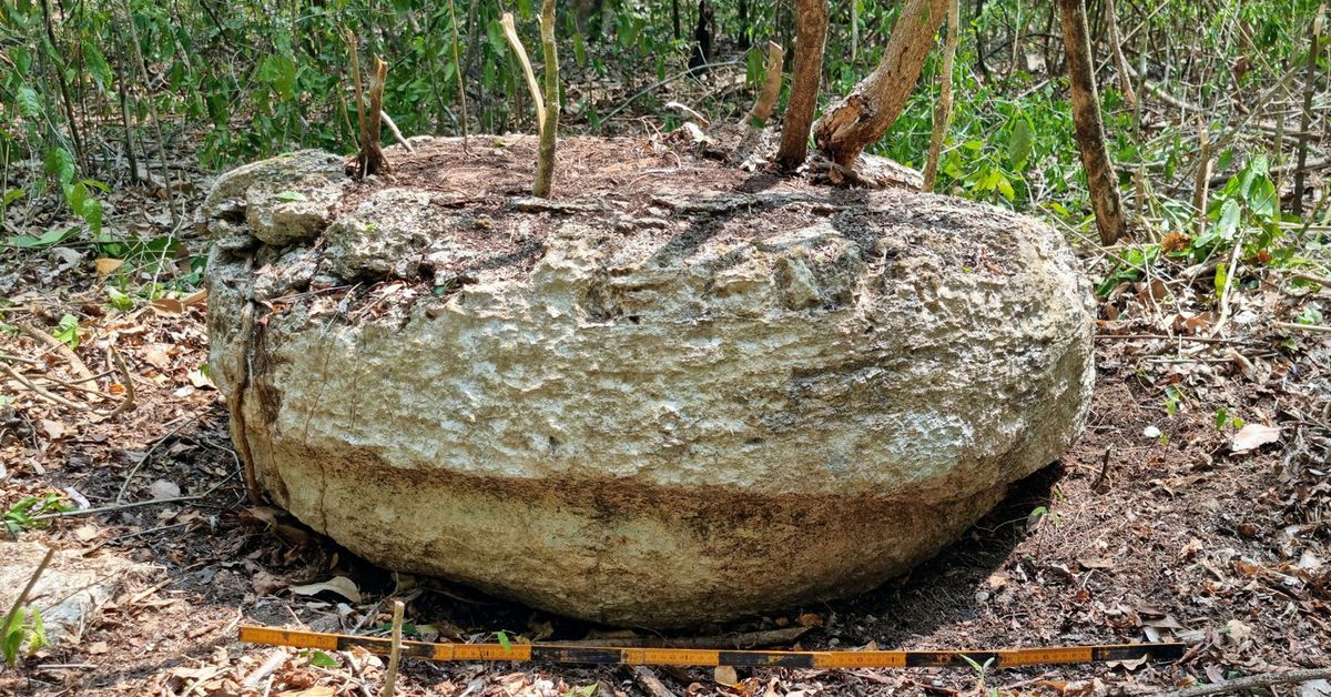 Maya City Found in Mexico Unlocks Secrets of Mysterious Civilization - A Fascinating Discovery! 15