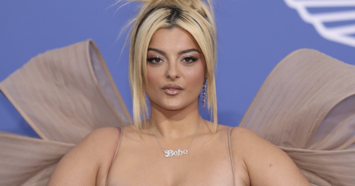 Concertgoer injures Bebe Rexha, shocking incident caught on camera in NYC concert. 14