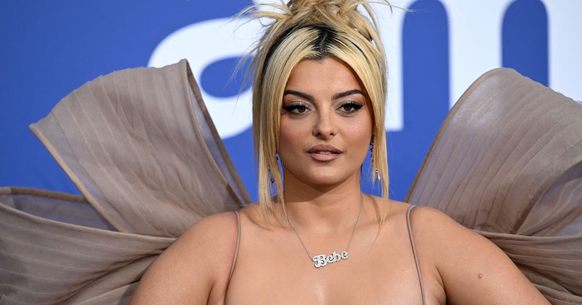 Bebe Rexha hit by cellphone during concert, suspect arrested - Read the shocking details! 25