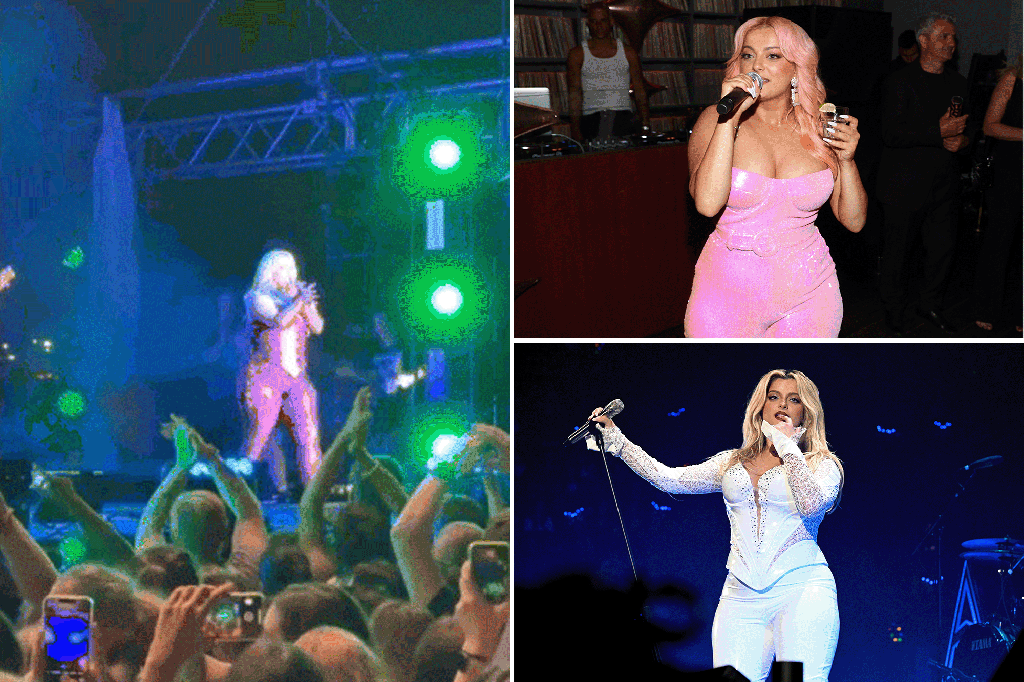 Bebe Rexha hit by cellphone during concert, suspect arrested - Read the shocking details! 28