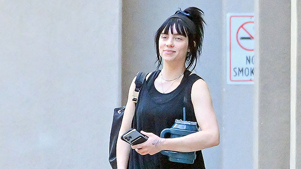 Billie Eilish Bikini Photo Sparks Controversy: Fans React to Her Body Positivity 13