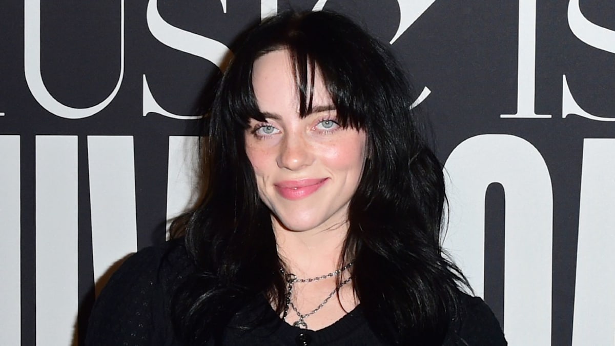 Billie Eilish Bikini Photo Sparks Controversy: Fans React to Her Body Positivity 14