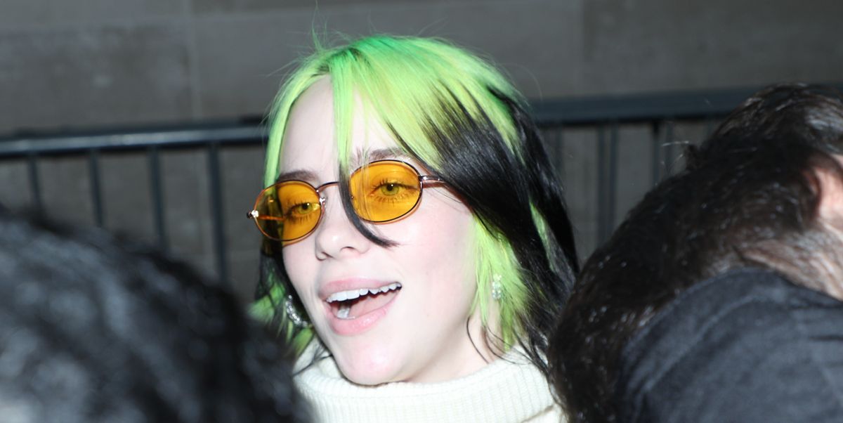 Billie Eilish Bikini Photo Sparks Controversy: Fans React to Her Body Positivity 15