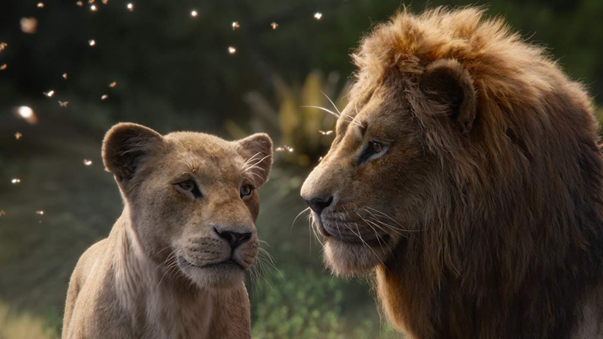 The Lion King CGI: An Incredible Photorealistic Journey That Will Leave You Breathless! 17