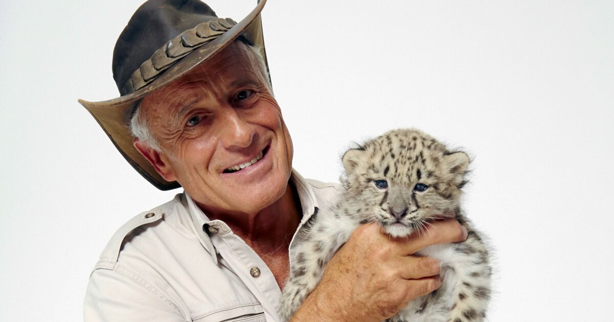 Jack Hanna Has Advanced Alzheimer's: A Tragic Tale of a Beloved Zookeeper and His Family 18