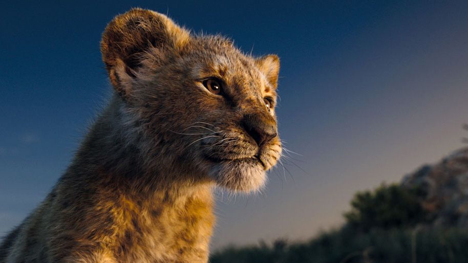 The Lion King CGI: An Incredible Photorealistic Journey That Will Leave You Breathless! 15
