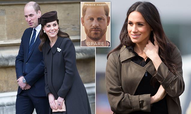 Spotify Exec's Racist Comments Against Harry and Meghan Spark Outrage - The Truth Revealed! 14
