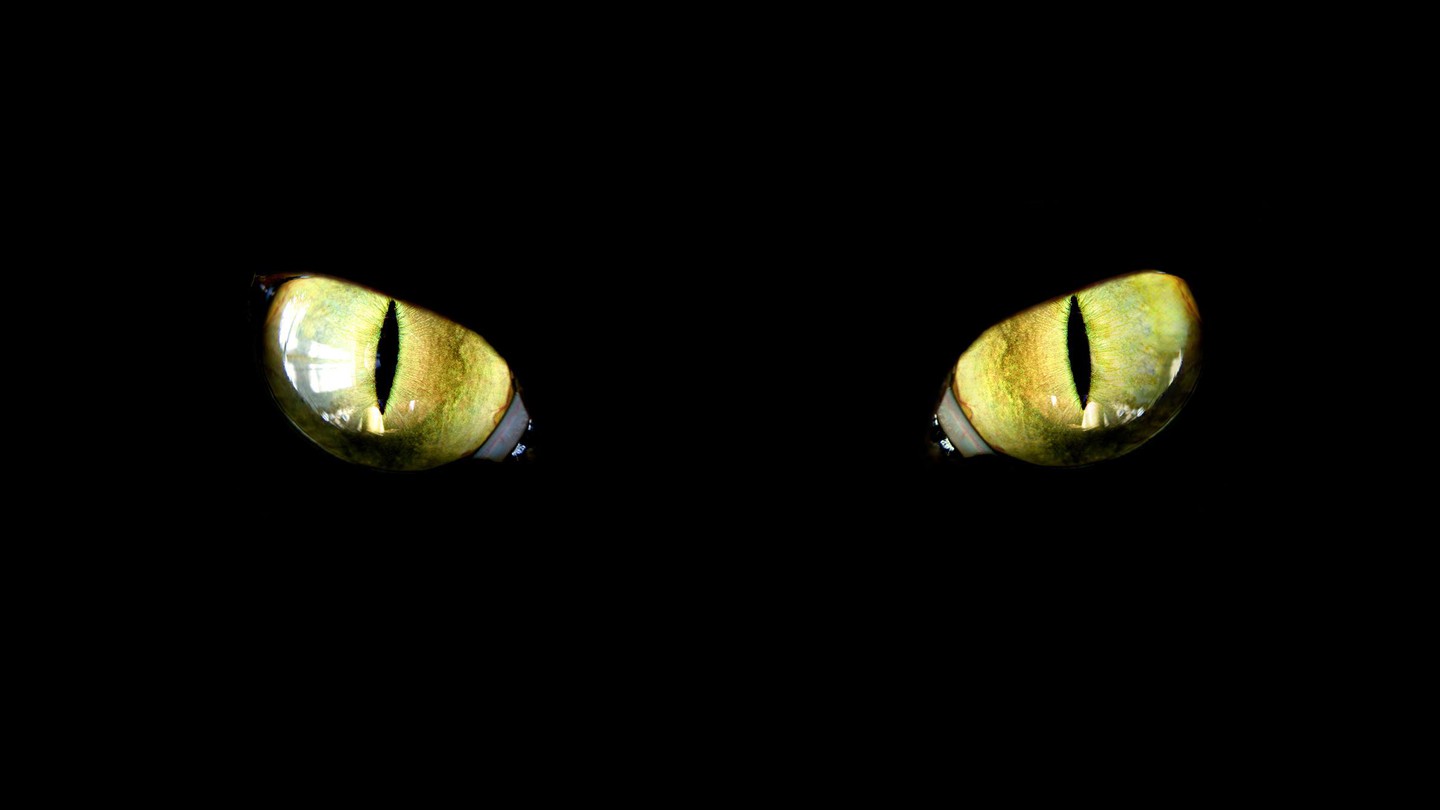Critical Schrödinger Cat Code: A Quantum Computing Breakthrough for Better Qubits! 13