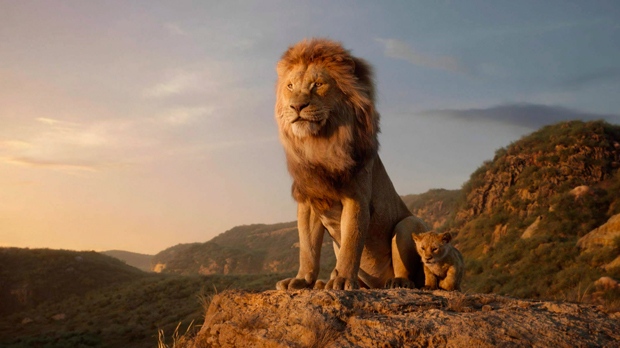 The Lion King CGI: An Incredible Photorealistic Journey That Will Leave You Breathless! 16
