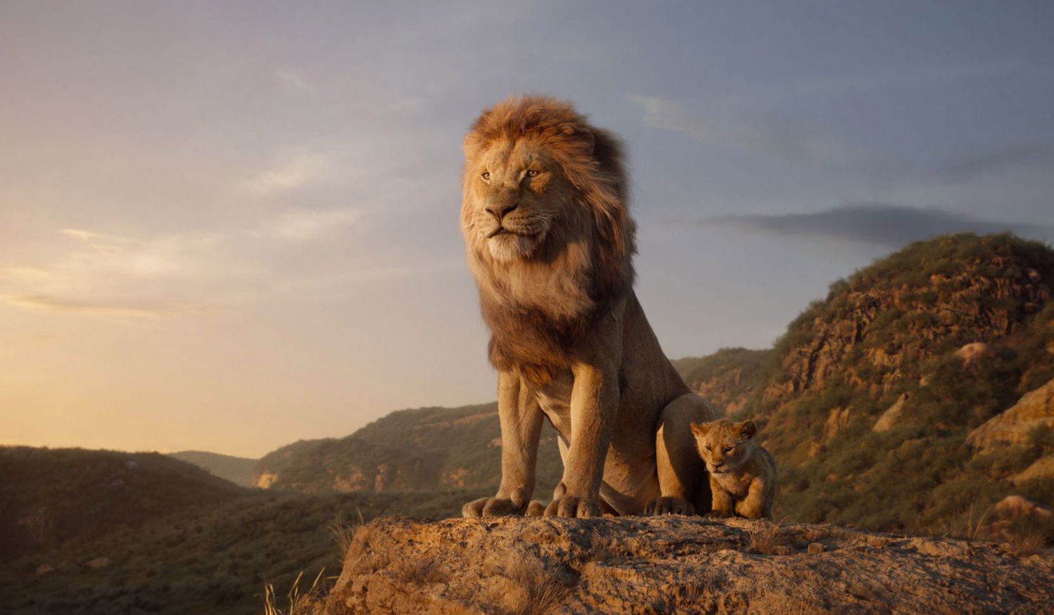 The Lion King CGI: An Incredible Photorealistic Journey That Will Leave You Breathless! 20