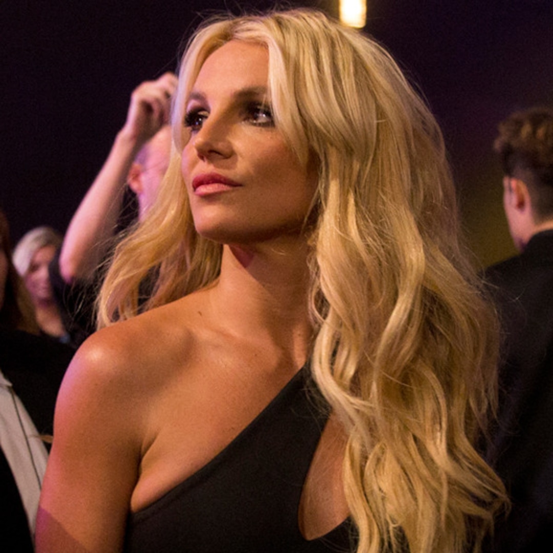 Is Britney Spears in Self-Destruction Mode? The Shocking Truth You Need to Know 13