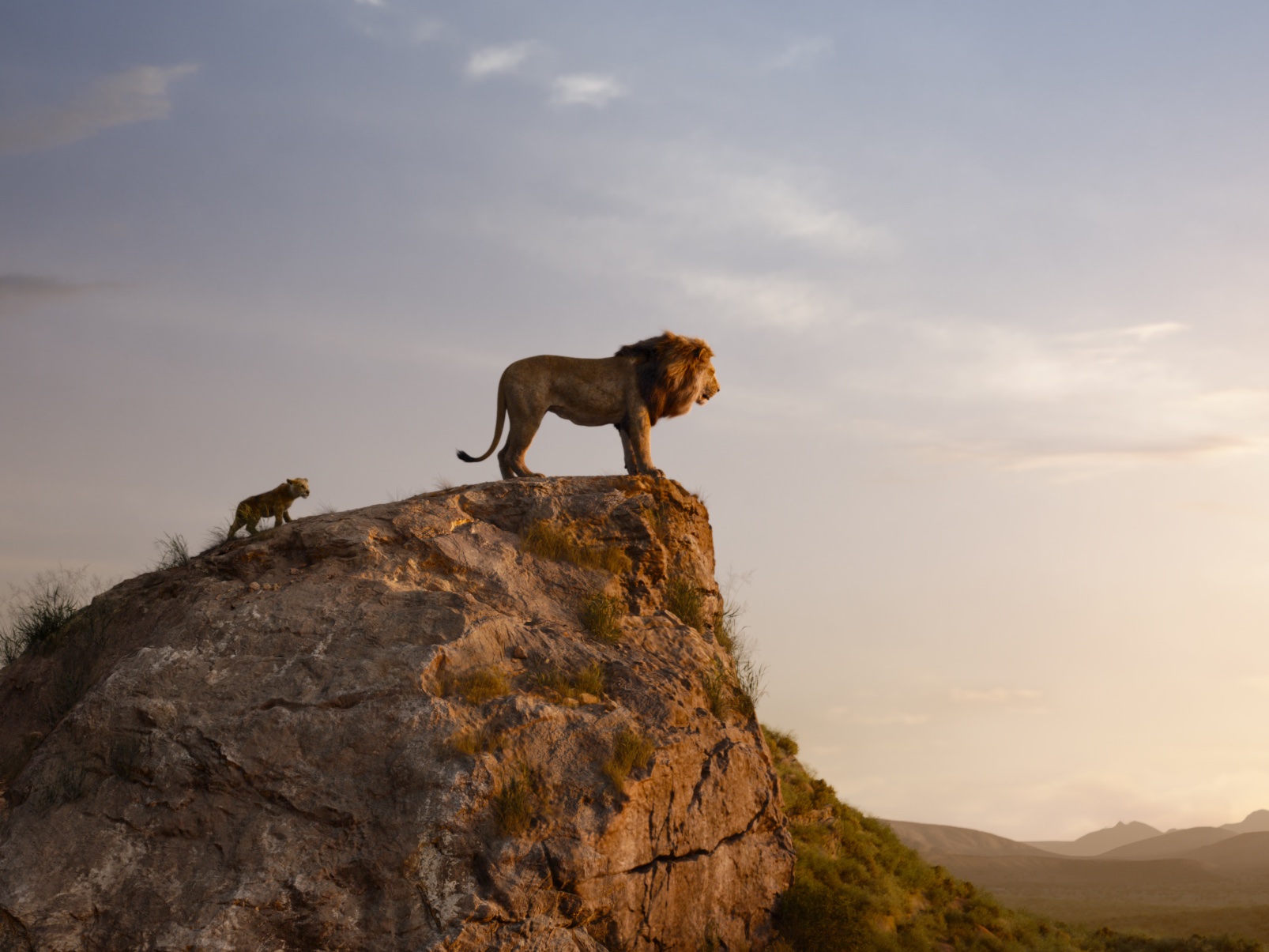 The Lion King CGI: An Incredible Photorealistic Journey That Will Leave You Breathless! 18