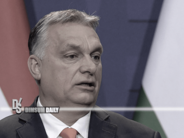 Ukraine: Hungary's Self Interest Ignoring Prisoner Requests Causes Diplomatic Row 15