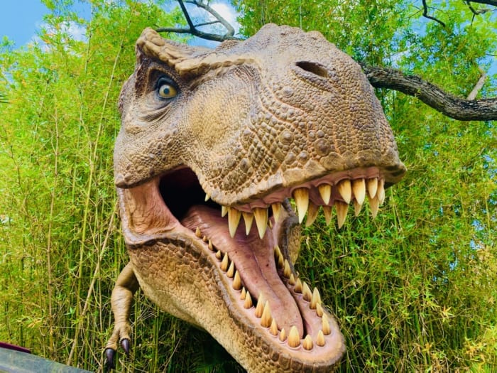 Explore the Jurassic World- Universal Orlando Resort Celebrates 30th Anniversary of Jurassic Park! 22